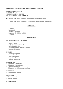 LICEO SCIENTIFICO STATALE “R.CACCIOPPOLI”
