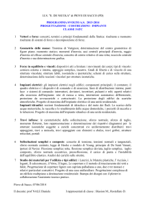I.I.S. "E. DE NICOLA" di PIOVE DI SACCO (PD) PROGRAMMA