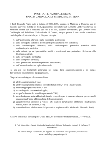 curriculum vitae