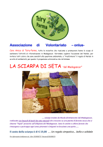 Le sciarpe amiche della foresta