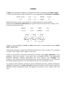 AMIDO