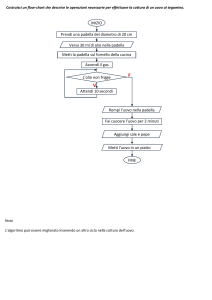 Flow-chart - Mimmo Corrado