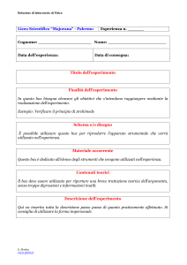 Modello di relazione di laboratorio