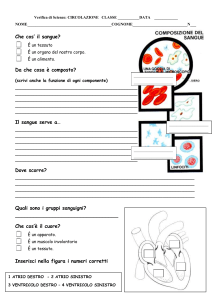 verifica sulla circolazione 1