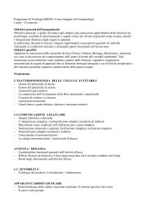 Programma - Docenti.unina