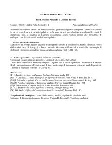 GEOMETRIA COMPLESSA