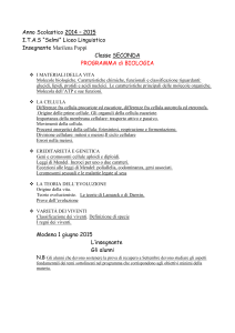Anno Scolastico 2014 – 2015