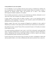 019_-Come-profumare