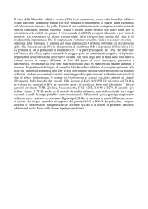 Il virus della Bronchite Infettiva aviare (IBV) è un coronavirus, causa