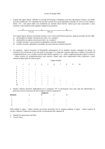Esame di Giugno 2001
