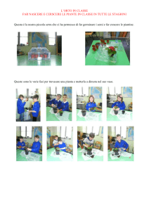 orto in classe - Primo Circolo Eboli