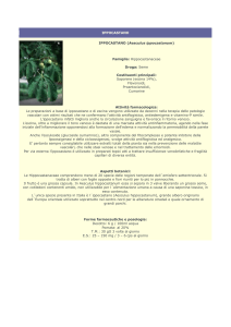 ippocastano - Farmacia S. Antonio – Brescia