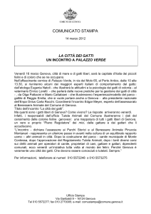 comunicato stampa - La città dei gatti