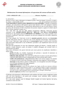 Pneumotorace spontaneo [file]