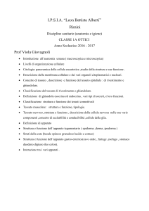 1A_anatomia_16_17 - IPSIA " L. Battista Alberti "