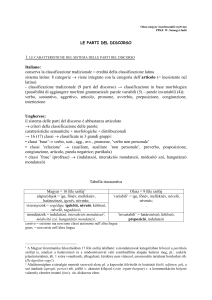 Olasz-magyar összehasonlító nyelvtan PPKE W. Somogyi Judit le