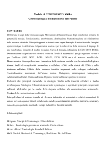 Scudiero - modulo di..