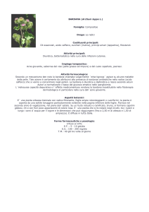BARDANA - Farmacia S. Antonio – Brescia