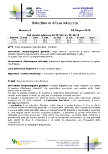 Numero 6 09 Giugno 2010