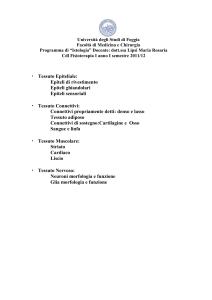 Istologia - Facoltà di Medicina e Chirurgia