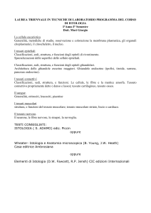 Istologia