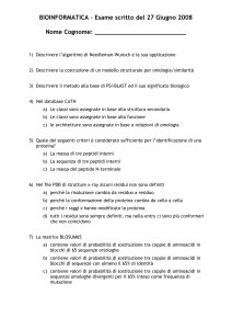scritto2008_3