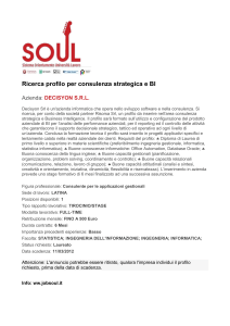 Ricerca profilo per consulenza strategica e BI