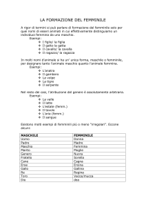 la formazione del femminile