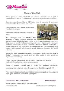 Itinerario Etna - Mediterranea Turismo e Servizi