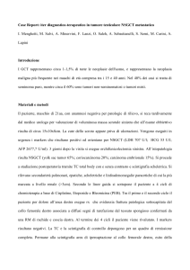 Introduzione