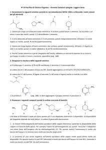 verifica_ammine_soluzioni