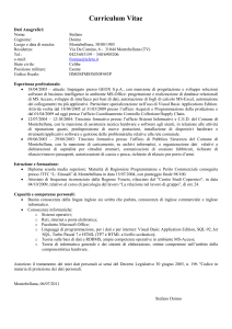 Curriculum Vitae
