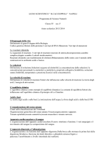 LICEO SCIENTIFICO “ R.CACCIOPPOLI “ NAPOLI Programma di