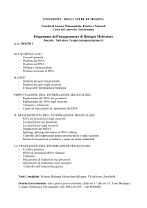 X - Università degli Studi di Messina