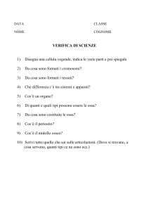 Verifica di Scienze: Cellule, Ossa e Articolazioni