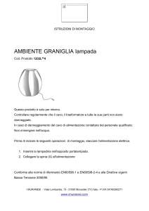 Istruzioni di Montaggio Graniglia