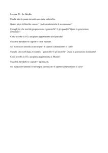 Lezione 21 – Le Briofite