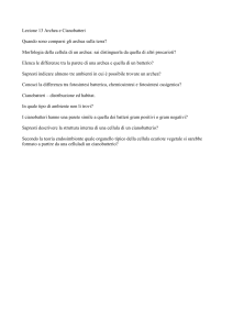 Lezione 13 - archea e cianobatteri