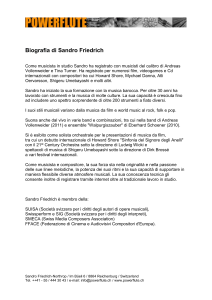 Biografia di Sandro Friedrich Come musicista in studio Sandro ha