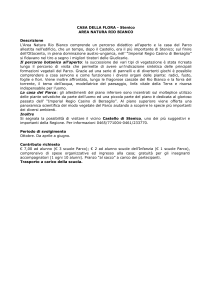 Il Parco Naturale Adamello Brenta è la più vasta area protetta del