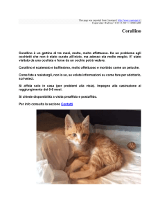 Corallino : Cassiopei : http://www.cassiopei.it