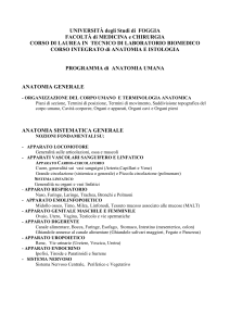 Anatomia Umana - Facoltà di Medicina e Chirurgia