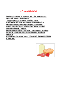 I Principi Nutritivi