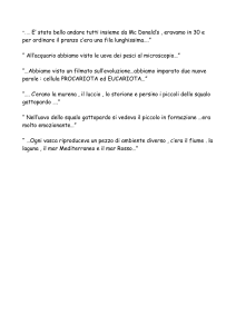 E` stato bello andare tutti insieme da Mc Donald`s , eravamo in 30 e