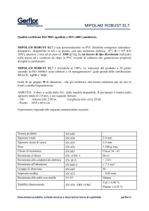 Mipolam Robust EL7 - Voce breve di capitolato 91 Ko