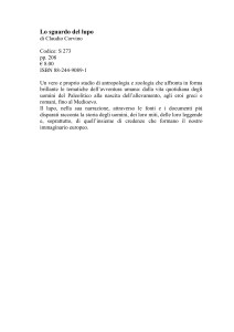 Lo sguardo del lupo - Simone per la scuola