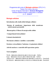 Programma