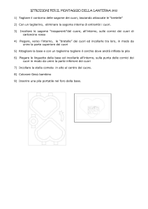 ISTRUZIONI PER IL MONTAGGIO DELLA LANTERNA 2012 1