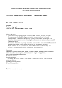 Emma Tarabini Castellani - Università di Modena e Reggio Emilia