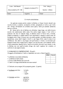 Liceo : Sidi Bouzid
